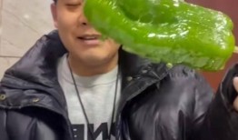 建湖网红吃瓜事件视频最新,揭秘背后真相与网络热议